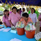 รดน้ำดำหัวผู้สูงอายุตำบลสันทราย ประจำปี 58