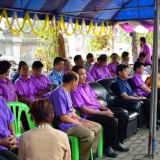 รดน้ำดำหัวผู้สูงอายุตำบลสันทราย ประจำปี 58