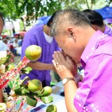 รดน้ำดำหัวผู้สูงอายุตำบลสันทราย ประจำปี 58