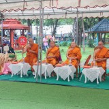 งานประเพณีทำบุญไหว้สาพระเจ้าฝาง พระนางสามผิว ประจำปี ๒๕๖๘