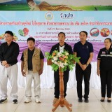 โครงการสตรีแม่บ้านยุคใหม่ ใส่ใจสุขภาพ ด้วยอาหารลดหวาน มัน เค็ม ลดโรค ประจำปีงบประมาณ ๒๕๖๙ 