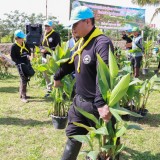 โครงการส่งเสริมและพัฒนาศักยภาพลำน้ำล้อง กิจกรรมปลูกต้นพุทธรักษา 