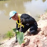 โครงการส่งเสริมและพัฒนาศักยภาพลำน้ำล้อง กิจกรรมปลูกต้นพุทธรักษา 