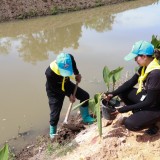 โครงการส่งเสริมและพัฒนาศักยภาพลำน้ำล้อง กิจกรรมปลูกต้นพุทธรักษา 