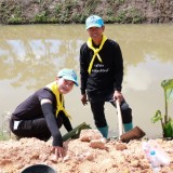 โครงการส่งเสริมและพัฒนาศักยภาพลำน้ำล้อง กิจกรรมปลูกต้นพุทธรักษา 