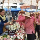 พิธี "สระเกล้าดำหัว ป้อเมืองฝาง " ประจำปี ๒๕๖๙