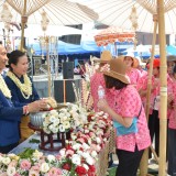 พิธี "สระเกล้าดำหัว ป้อเมืองฝาง " ประจำปี ๒๕๖๙