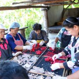 โครงการส่งเสริมอาชีพกลุ่มสตรีแม่บ้านเทศบาลตำบลสันทราย ประจำปีงบประมาณ 2563