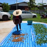 โครงการส่งเสริมอาชีพกลุ่มสตรีแม่บ้านเทศบาลตำบลสันทราย ประจำปีงบประมาณ 2563
