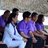 รณรงค์ไถกลบพืชปุ๋ยสด(ปอเทือง) ในโครงการเมืองเกษตรสีเขียว