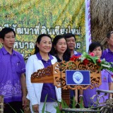รณรงค์ไถกลบพืชปุ๋ยสด(ปอเทือง) ในโครงการเมืองเกษตรสีเขียว