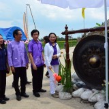 รณรงค์ไถกลบพืชปุ๋ยสด(ปอเทือง) ในโครงการเมืองเกษตรสีเขียว