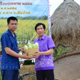 รณรงค์ไถกลบพืชปุ๋ยสด(ปอเทือง) ในโครงการเมืองเกษตรสีเขียว