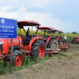 รณรงค์ไถกลบพืชปุ๋ยสด(ปอเทือง) ในโครงการเมืองเกษตรสีเขียว