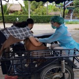 กิจกรรมรณรงค์ฉีดวัคซีนป้องกันโรคพิษสุนัขบ้า ตามโครงการสัตว์ปลอดโรค คนปลอดภัยจากโรคพิษสุนัขบ้า