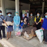 กิจกรรมรณรงค์ฉีดวัคซีนป้องกันโรคพิษสุนัขบ้า ตามโครงการสัตว์ปลอดโรค คนปลอดภัยจากโรคพิษสุนัขบ้า