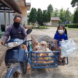 กิจกรรมรณรงค์ฉีดวัคซีนป้องกันโรคพิษสุนัขบ้า ตามโครงการสัตว์ปลอดโรค คนปลอดภัยจากโรคพิษสุนัขบ้า
