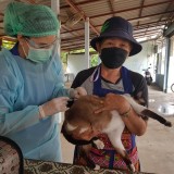 กิจกรรมรณรงค์ฉีดวัคซีนป้องกันโรคพิษสุนัขบ้า ตามโครงการสัตว์ปลอดโรค คนปลอดภัยจากโรคพิษสุนัขบ้า