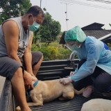 กิจกรรมรณรงค์ฉีดวัคซีนป้องกันโรคพิษสุนัขบ้า ตามโครงการสัตว์ปลอดโรค คนปลอดภัยจากโรคพิษสุนัขบ้า