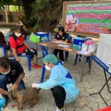 กิจกรรมรณรงค์ฉีดวัคซีนป้องกันโรคพิษสุนัขบ้า ตามโครงการสัตว์ปลอดโรค คนปลอดภัยจากโรคพิษสุนัขบ้า