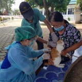 กิจกรรมรณรงค์ฉีดวัคซีนป้องกันโรคพิษสุนัขบ้า ตามโครงการสัตว์ปลอดโรค คนปลอดภัยจากโรคพิษสุนัขบ้า