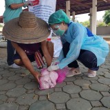 กิจกรรมรณรงค์ฉีดวัคซีนป้องกันโรคพิษสุนัขบ้า ตามโครงการสัตว์ปลอดโรค คนปลอดภัยจากโรคพิษสุนัขบ้า