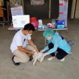 กิจกรรมรณรงค์ฉีดวัคซีนป้องกันโรคพิษสุนัขบ้า ตามโครงการสัตว์ปลอดโรค คนปลอดภัยจากโรคพิษสุนัขบ้า
