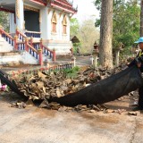 กิจกรรมวันท้องถิ่นไทย ประจำปี ๒๕๖๙ 