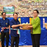 กิจกรรม 