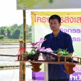 สาธิตการลดต้นทุนการผลิต