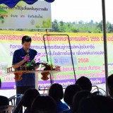 สาธิตการลดต้นทุนการผลิต