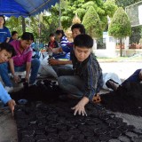 เพาะกล้าดางเรือง