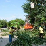 โครงการจิตอาสาพัฒนาวัด