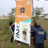 ปรับปรุงภูมิทัศน์ และจัดระเบียบป้ายข้างทางถนนสายหลักและสายรอง