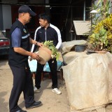 ปรับปรุงภูมิทัศน์ และจัดระเบียบป้ายข้างทางถนนสายหลักและสายรอง