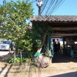 ปรับปรุงภูมิทัศน์ และจัดระเบียบป้ายข้างทางถนนสายหลักและสายรอง