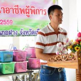 โครงการส่งเสริมและพัฒนาอาชีพผู้พิการตำบลสันทราย 