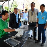 โครงการรณรงค์ป้องกันโรคพิษสุนัขบ้าและคุมกำเนิดประจำปี 2557
