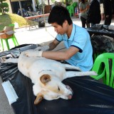 โครงการรณรงค์ป้องกันโรคพิษสุนัขบ้าและคุมกำเนิดประจำปี 2557