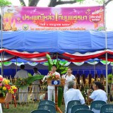 ประเพณีแห่เทียนพรรษา