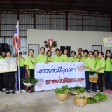 กิจกรรมกีฬาสีโรงเรียนผู้สูงอายุตำบลสันทราย