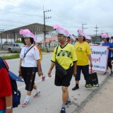 กิจกรรมกีฬาสีโรงเรียนผู้สูงอายุตำบลสันทราย