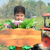 เปิดงานโครงการรณรงค์ไถกลบตอซังข้าวโพด