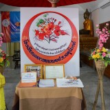 โครงการพัฒนาระบบการดูแลผู้สูงอายุและโครงการเพิ่มศักยภาพคณะทำงานโดยการและเปลี่ยนเรียนรู้